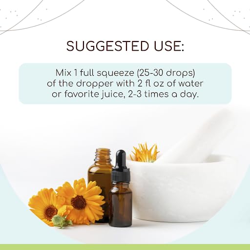 herbera-kelp-b60-usda-organic-tincture-a-2.jpg