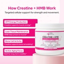 bone-renewal-ritual-bundle-collagen-pept-5.jpg