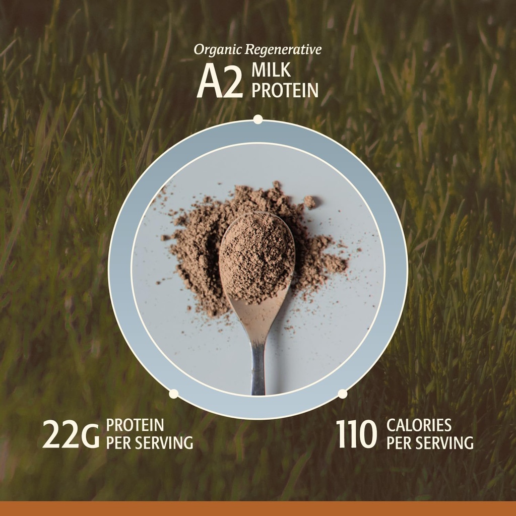 men-s-whey-protein-powder-chocolate-gras-4.jpg