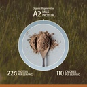 men-s-whey-protein-powder-chocolate-gras-4.jpg