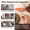 20-in-1-mushroom-supplement-with-lion-s--2.jpg