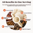 20-in-1-mushroom-supplement-with-lion-s--4.jpg