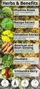 happy-healthy-hippie-caffeine-free-energ-2.jpg