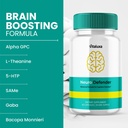 3-pack-neuro-defender-capsules-neurodefe-3.jpg