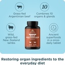 ancient-nutrition-organ-supplements-for--3.jpg