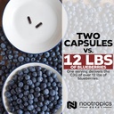 nootropics-depot-cyanidin-3-glucoside-ca-5.jpg
