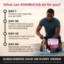 truwild-natural-kombucha-powder-probioti-4.jpg