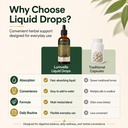 lumvelle-wild-harvested-wormwood-drops-7-5.jpg