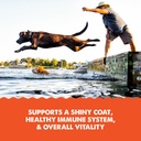grizzly-salmon-plus-omega-3-6-9-liquid-f-4.jpg