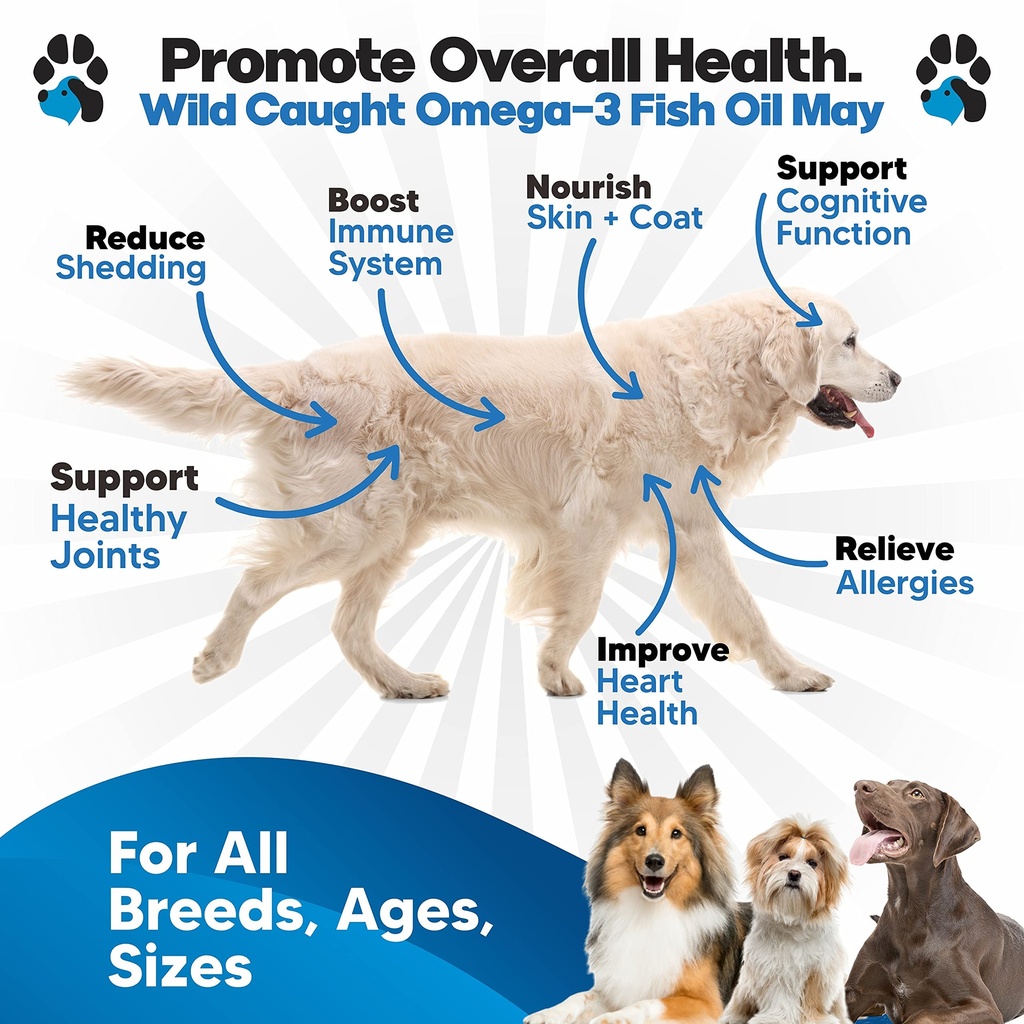 omega-3-fish-oil-for-dogs-better-than-sa-2.jpg