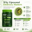 lumine-organics-nad-supplement-with-nico-6.jpg