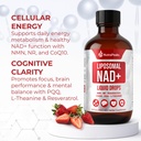 nad-supplement-liquid-nad-supplement-100-2.jpg