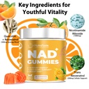 nad-gummies-supplement-for-anti-aging-en-2.jpg