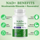 a-r-b-c-r-n-240-capsules-supplement-nico-3.jpg