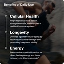 ingestible-molecular-hydrogen-supplement-2.jpg