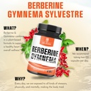 welbuda-berberine-supplement-with-organi-5.jpg