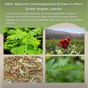 hanan-chanca-piedra-loose-leaf-herbal-te-6.jpg