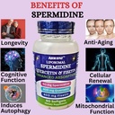 nikoni-liposomal-spermidine-quercetin-fi-4.jpg