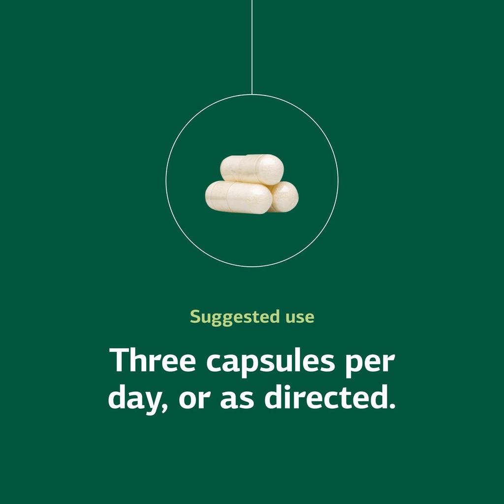 standard-process-a-c-carbamide-supports--5.jpg