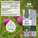 herbamama-red-clover-supplement-for-meno-3.jpg