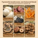 life-force-7-mushroom-blend-powder-organ-3.jpg