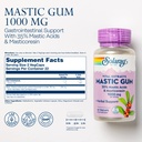 solaray-mastic-gum-extract-500-mg-45-cou-2.jpg