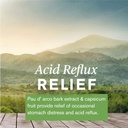 nature-s-sunshine-gastro-health-concentr-6.jpg