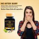 omega-3-new-zealand-green-lipped-mussel--3.jpg