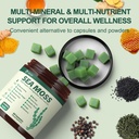 sea-moss-gummies-16-in-1-seamoss-gummy-v-3.jpg