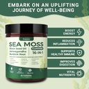 sea-moss-gummies-16-1-black-seed-oil-ash-3.jpg