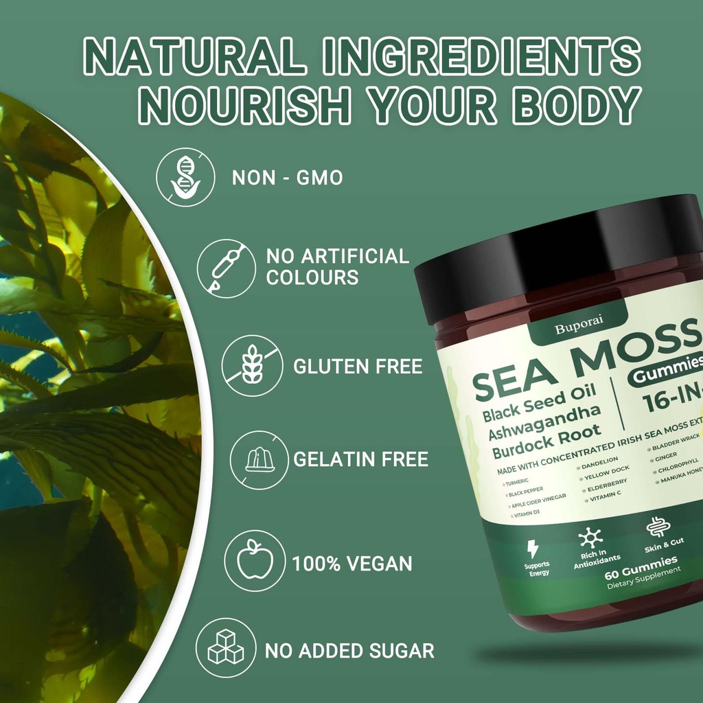 sea-moss-gummies-16-1-black-seed-oil-ash-4.jpg