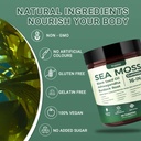 sea-moss-gummies-16-1-black-seed-oil-ash-4.jpg