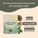 ashwagandha-reishi-mushroom-and-holy-bas-2.jpg