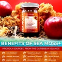 irish-sea-moss-gel-raw-wildcrafted-super-6.jpg