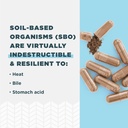 ancient-nutrition-sbo-ultimate-probiotic-6.jpg