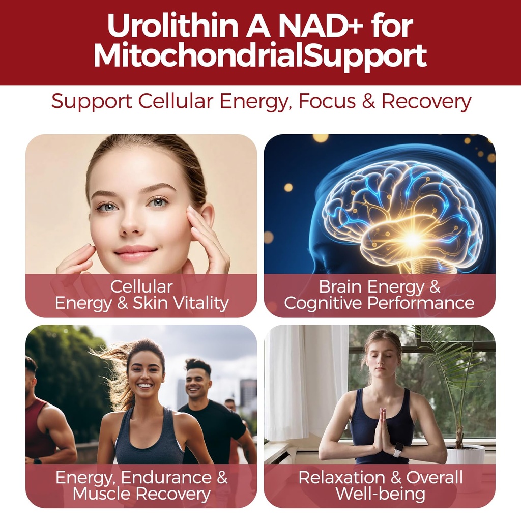 urolithin-a-supplement-with-trans-resver-4.jpg