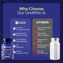urolithin-a-632mg-with-nmn-nr-pqq-magnes-5.jpg