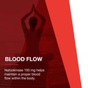 protocol-for-life-balance-nattokinase-10-5.jpg