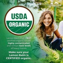 zazzee-usda-organic-lemon-balm-10-1-extr-2.jpg