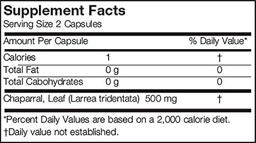 arizona-natural-chaparral-larrea-trident-6.jpg