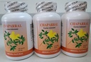 arizona-natural-chaparral-larrea-trident-5.jpg