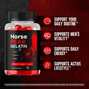 horse-peak-gelatin-official-horsepeak-ge-3.jpg