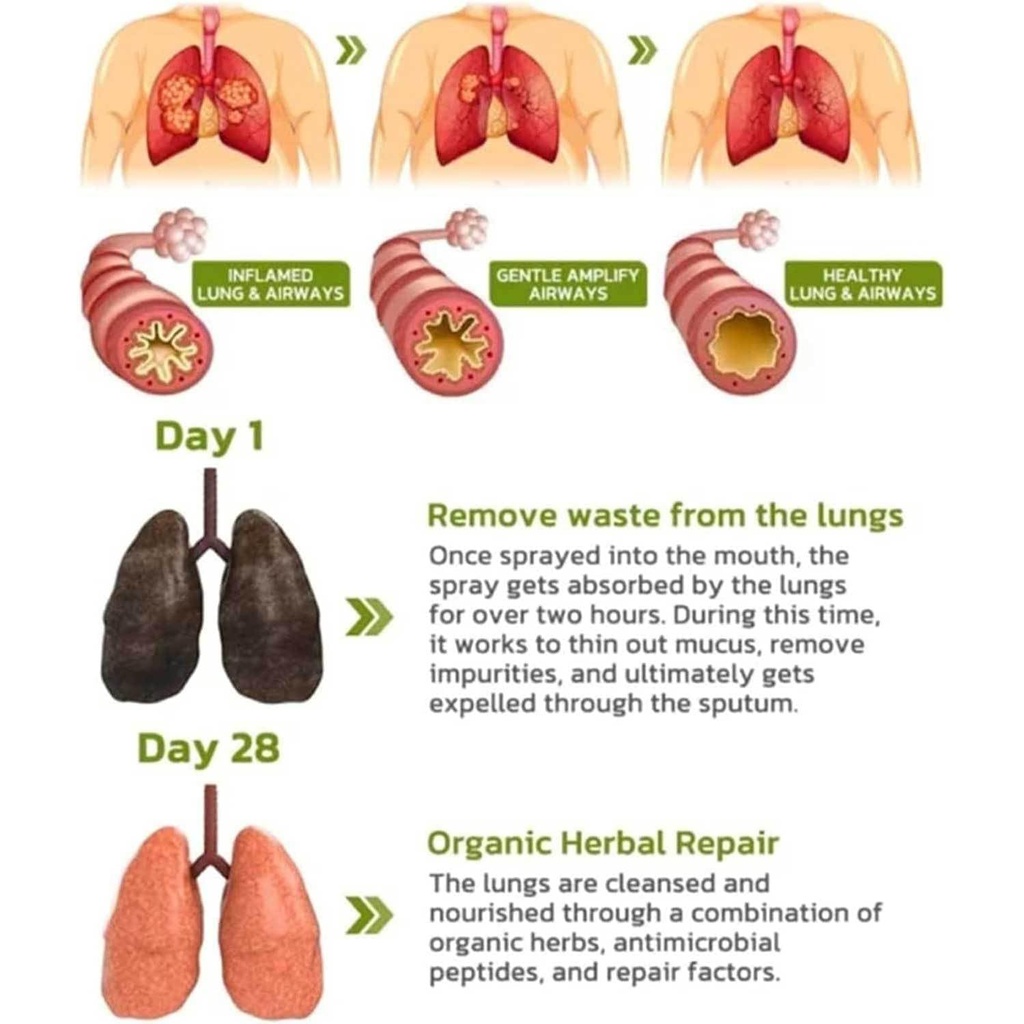 breathdetox-herbal-lung-cleansing-spray--4.jpg