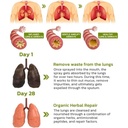breathdetox-herbal-lung-cleansing-spray--4.jpg