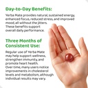 holymary-yerba-mate-gummies-raspberry-fl-3.jpg