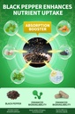 oil-of-oregano-capsules-with-black-seed--6.jpg