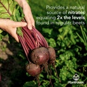 plantfusion-organic-beet-root-powder---s-4.jpg