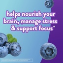vitafusion-brain-food-gummy-supplement-1-2.jpg