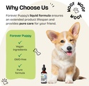 forever-puppy-adrenal-support-drops-for--6.jpg