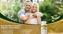 organic-lion-s-mane-capsules-memory-focu-4.jpg